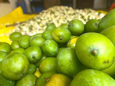 Mango 2 Pickle Combo (No Garlic)