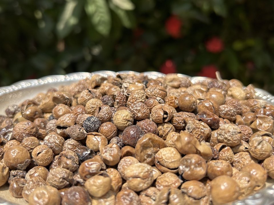 Sundakkai Vathal (Sun-Dried Turkey Berry)